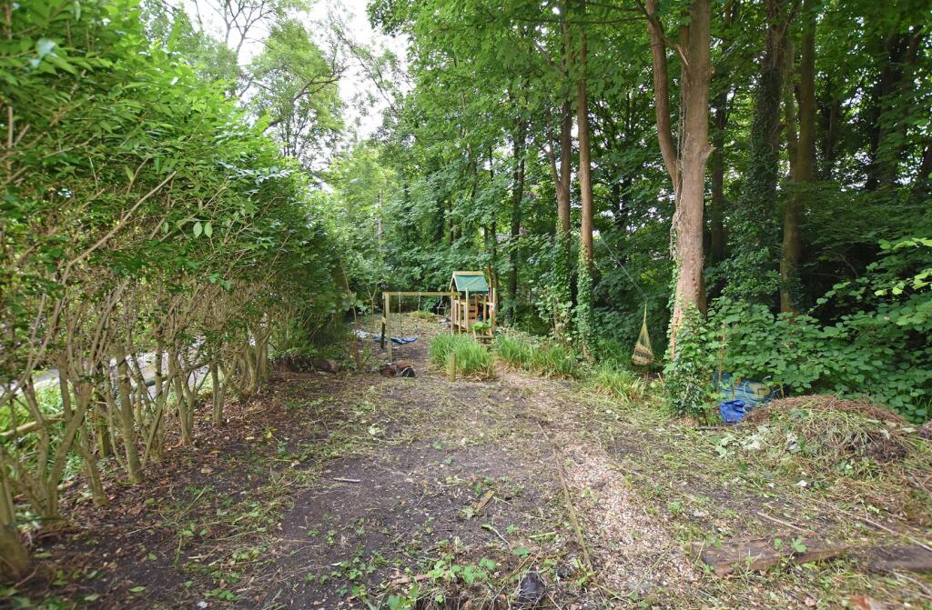 Private Wooded Area I.JPG