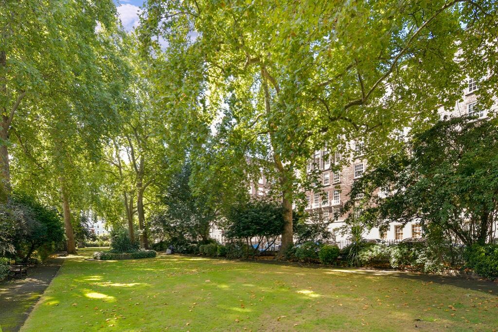 Communal garden