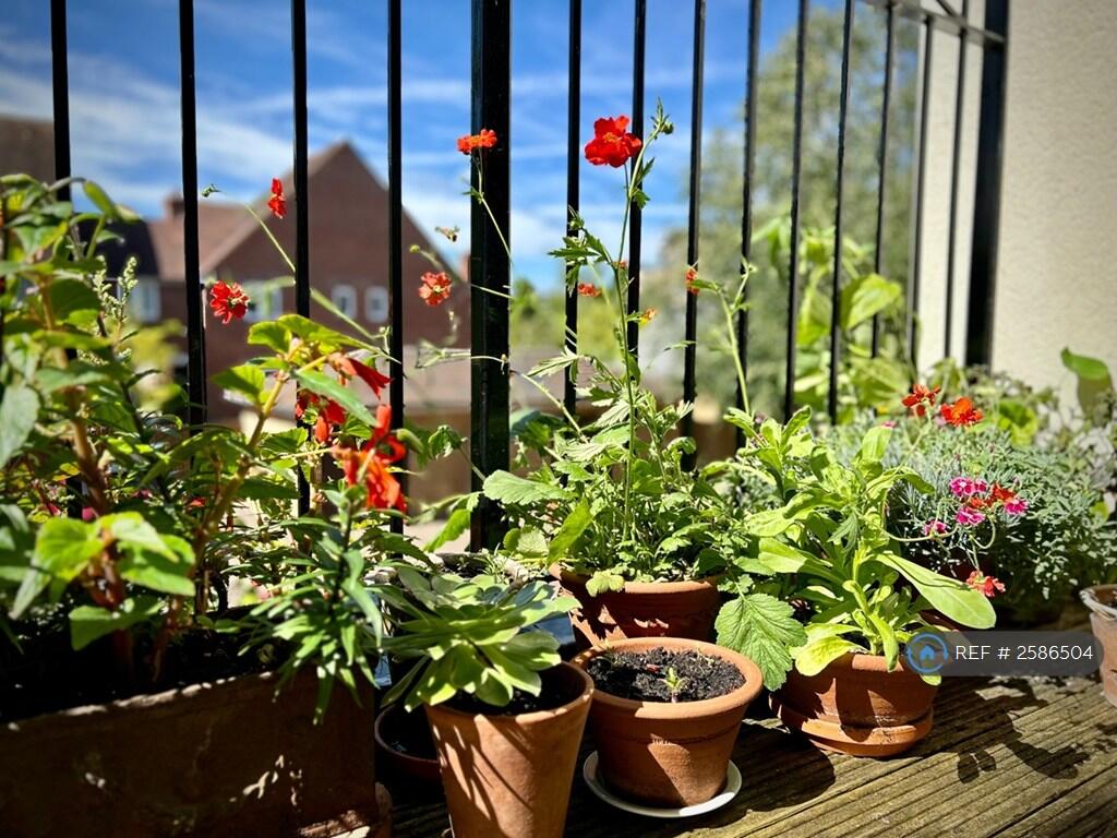 Balcony 1 Detail