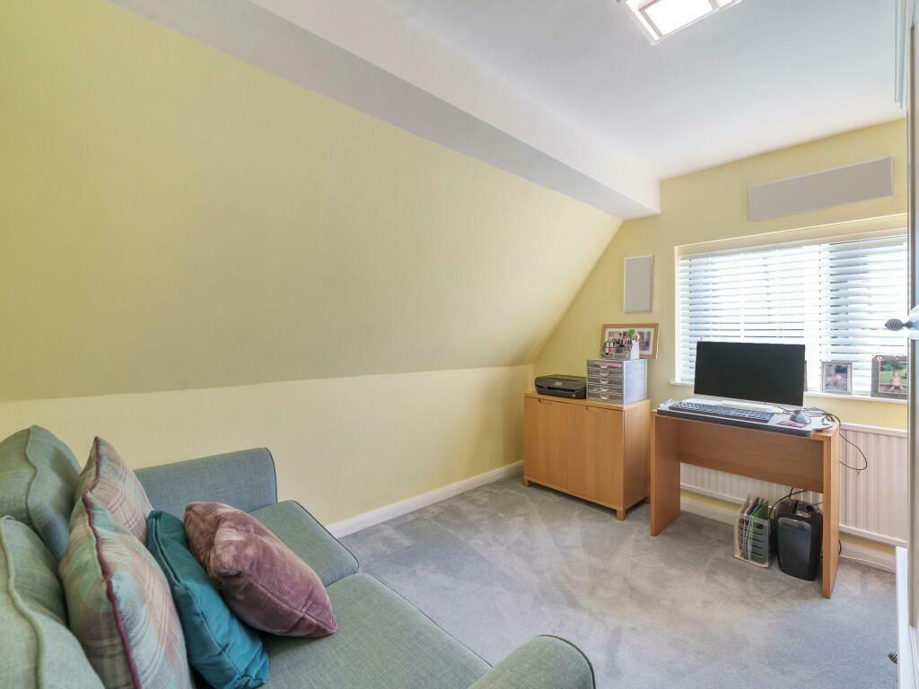 room.jpeg