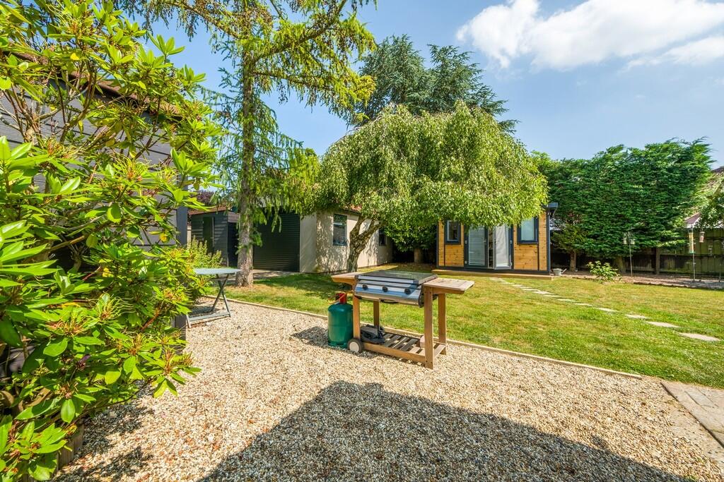 1440px Beech Tree...