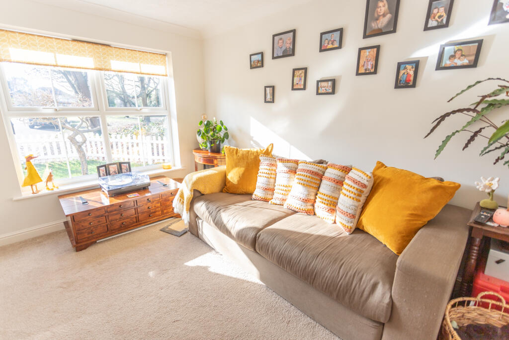 Family Room/bedroom 5