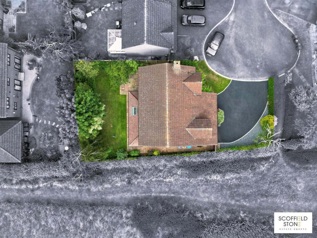 dji_fly_20250625_164130_617_1750866354398_BWMix.jp