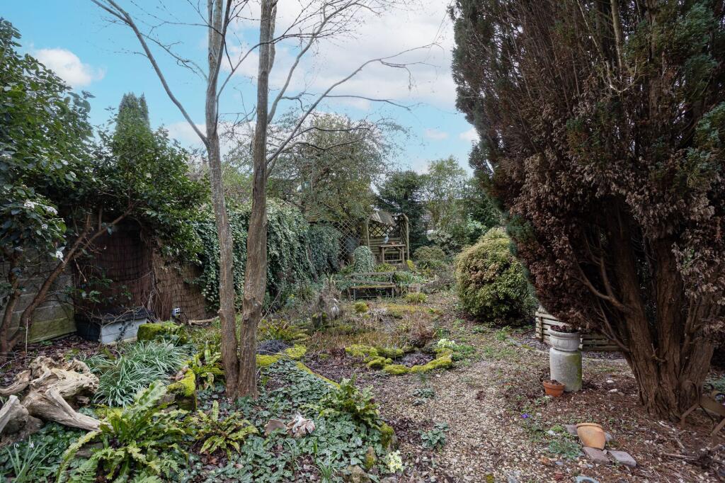 Wild garden and pond