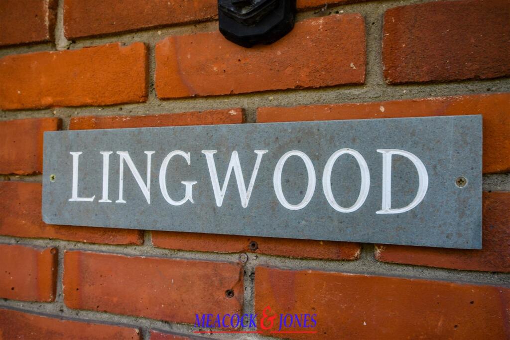 DSC_8821 copy - Copy.jpg