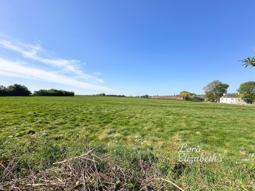 Field Views