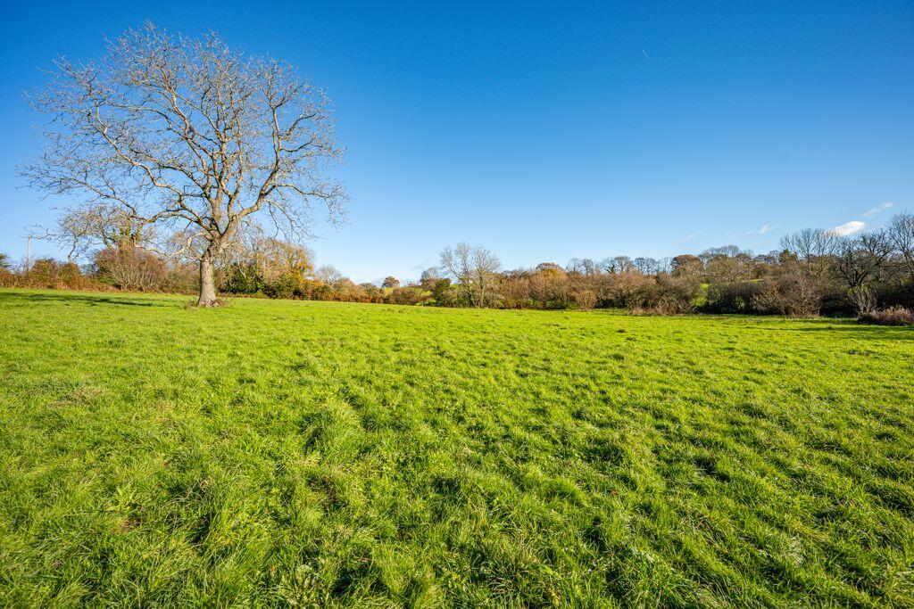 Grounds