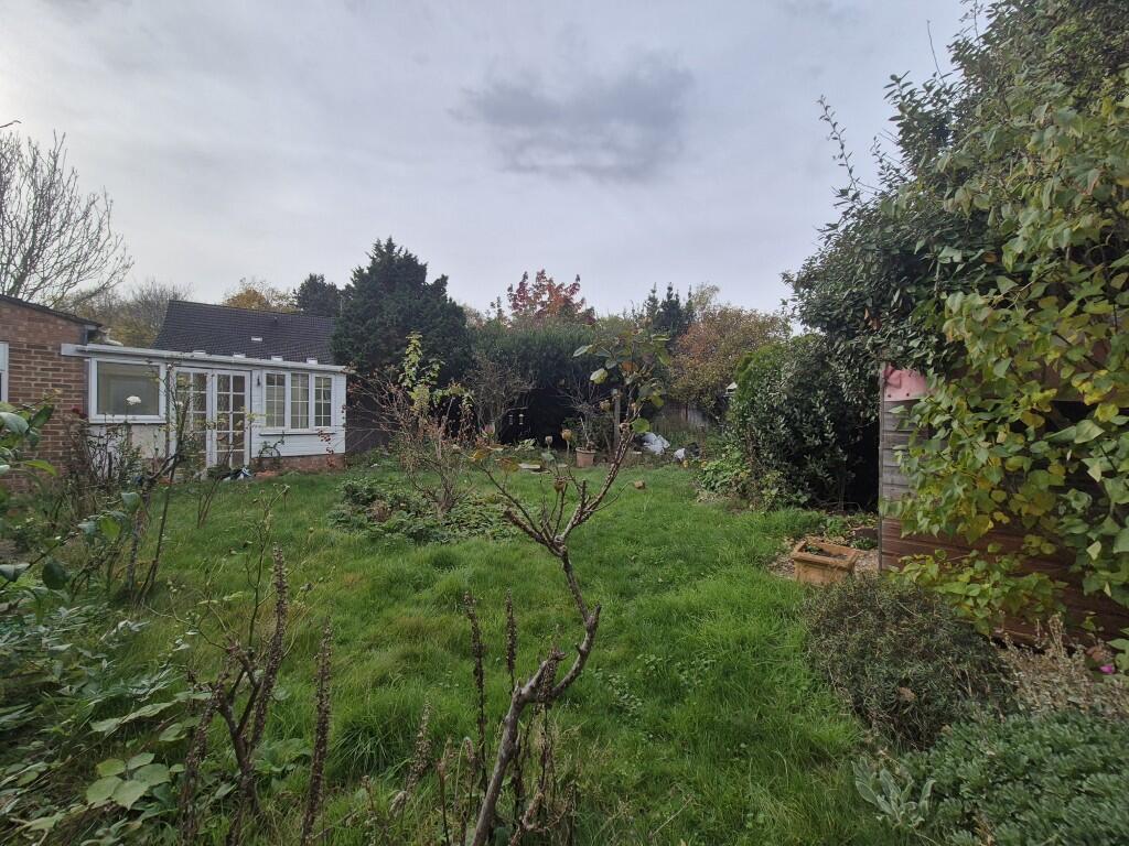 20251106 113220  Medium  T202511111033.jpg