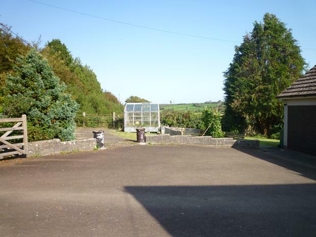 P1490991