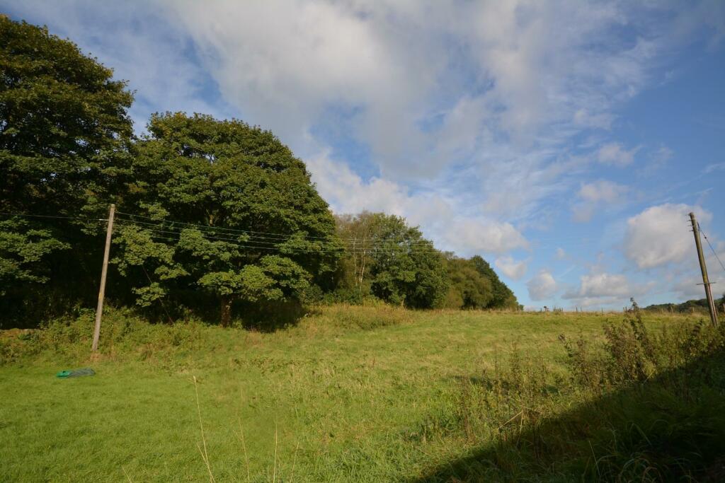 DSC_0723.JPG