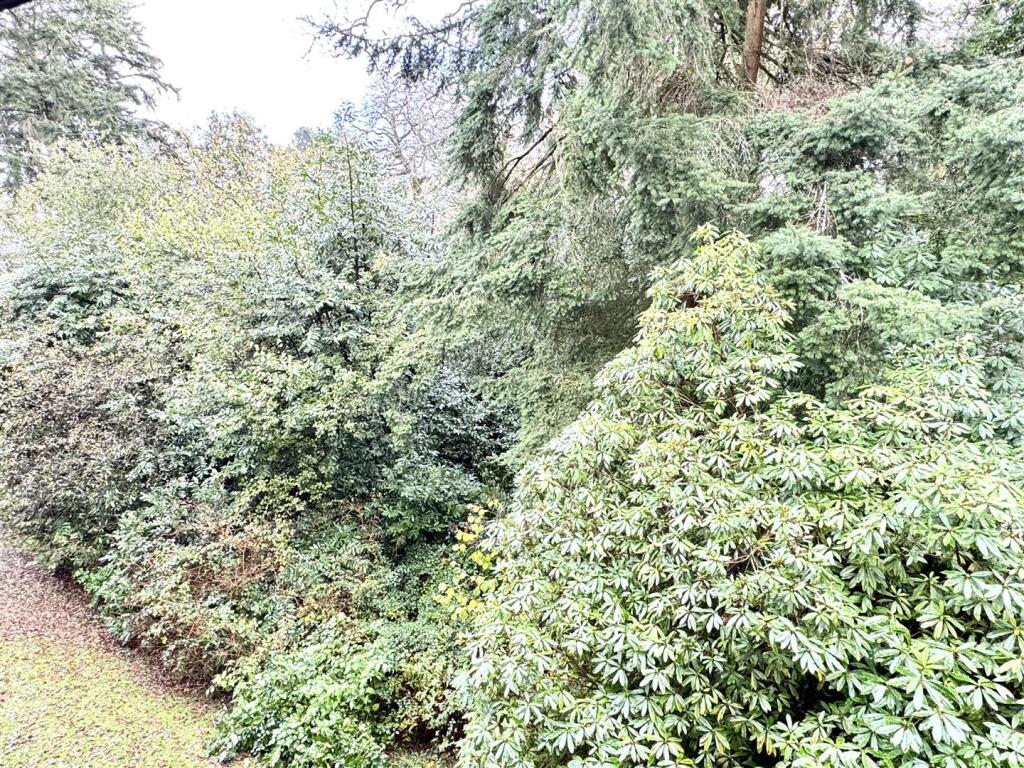View From Bedroom One