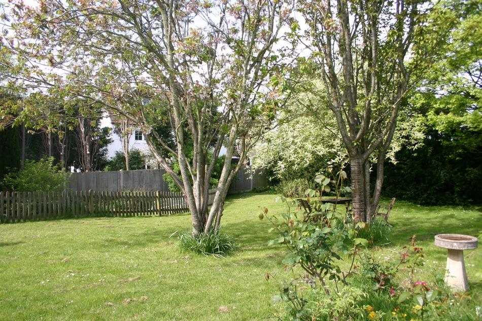 Communal Garden