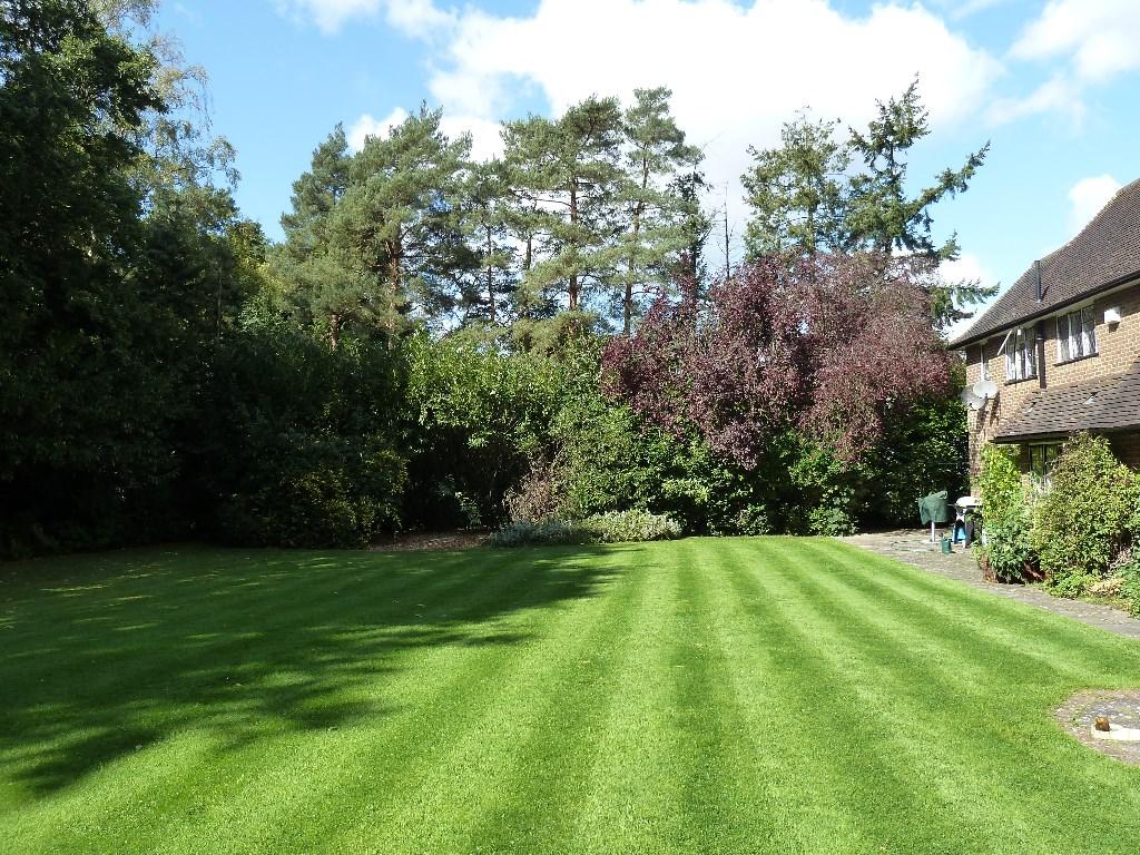 Enclosed Garden