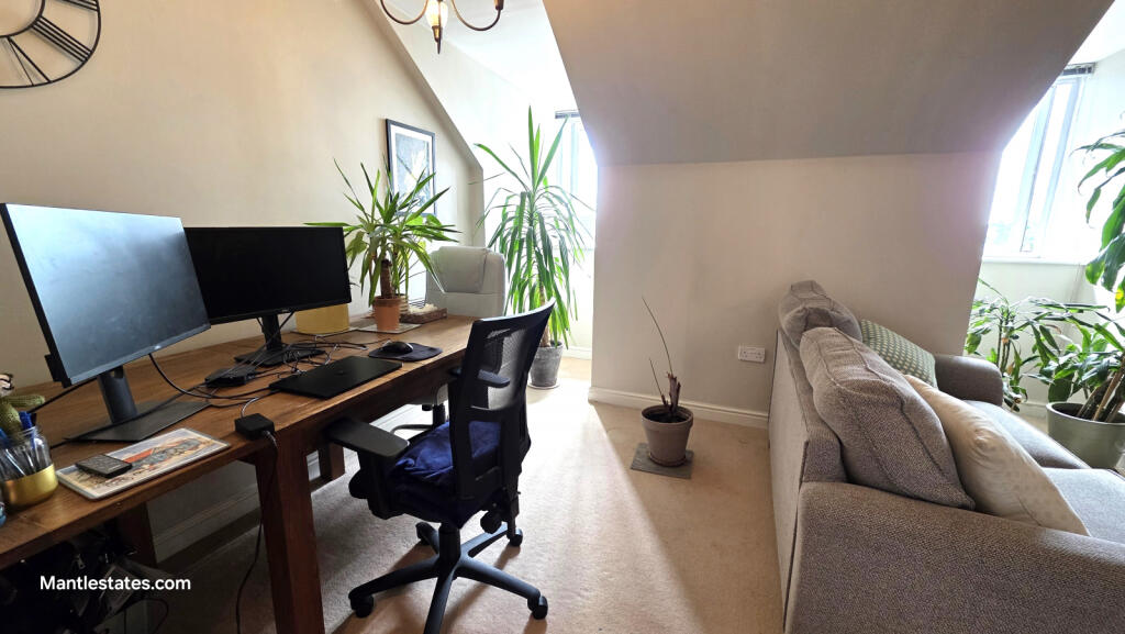 LOUNGE - DINING AREA