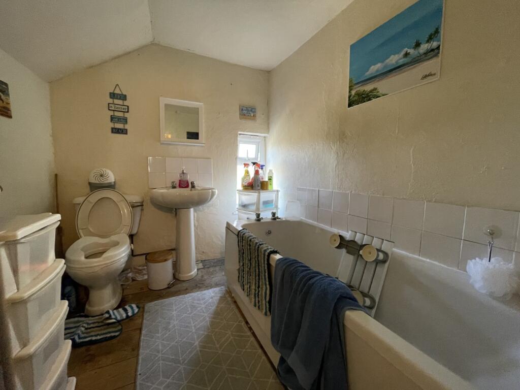 IMG 3933 T202504151025.jpeg