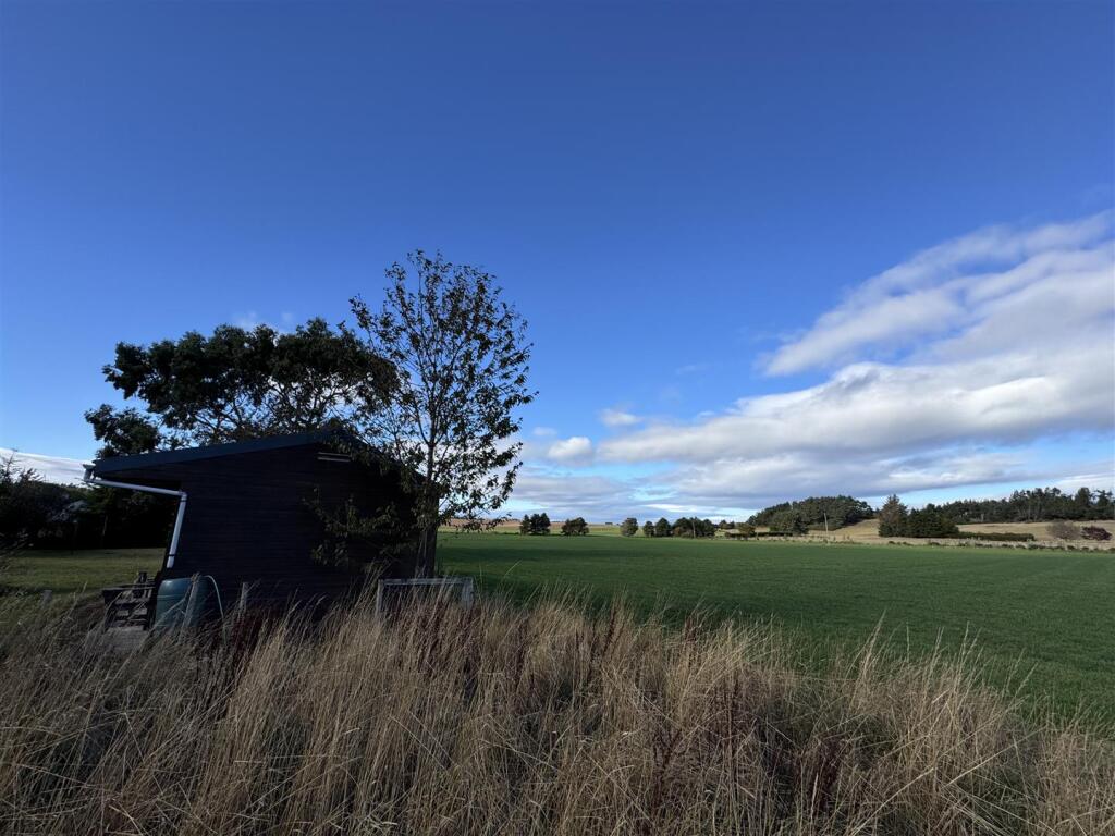 Plot 2 - Field