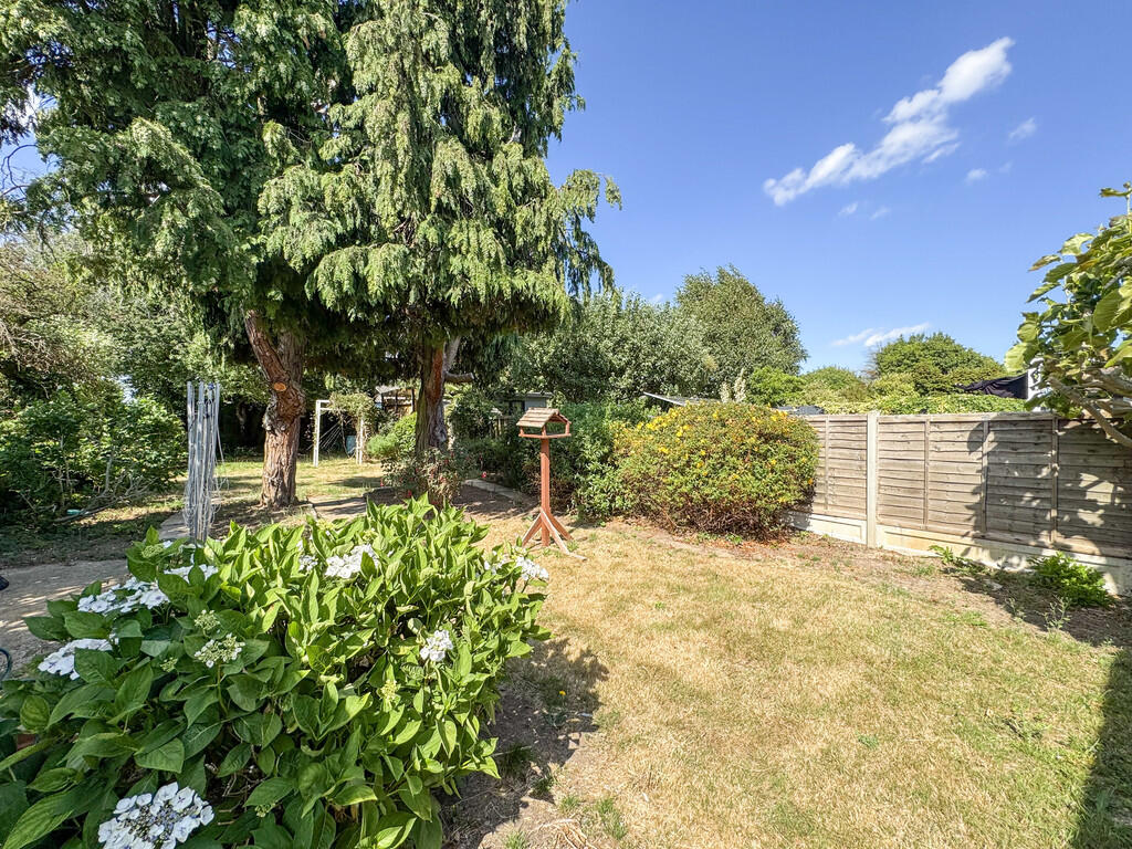 garden