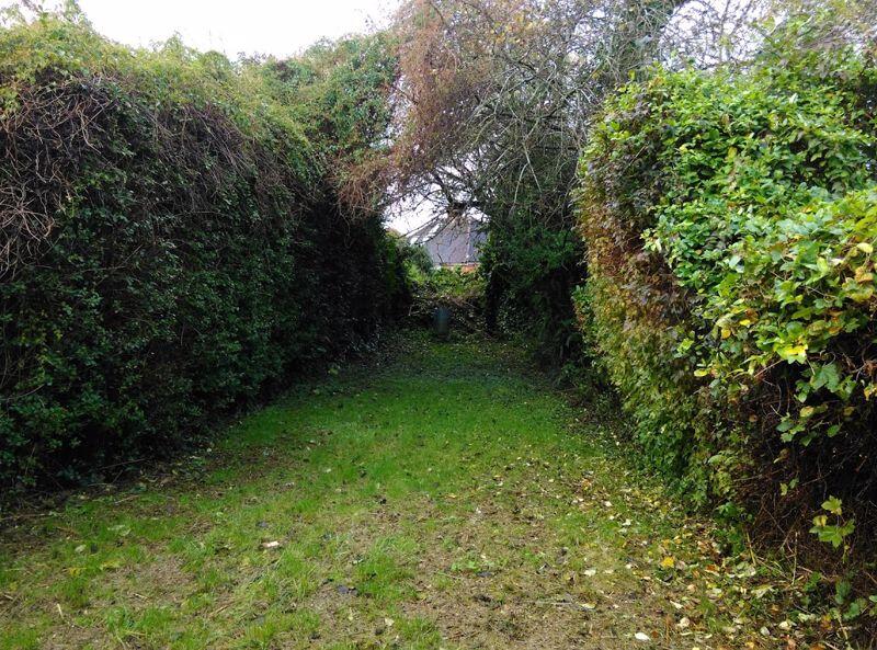 Photo 26