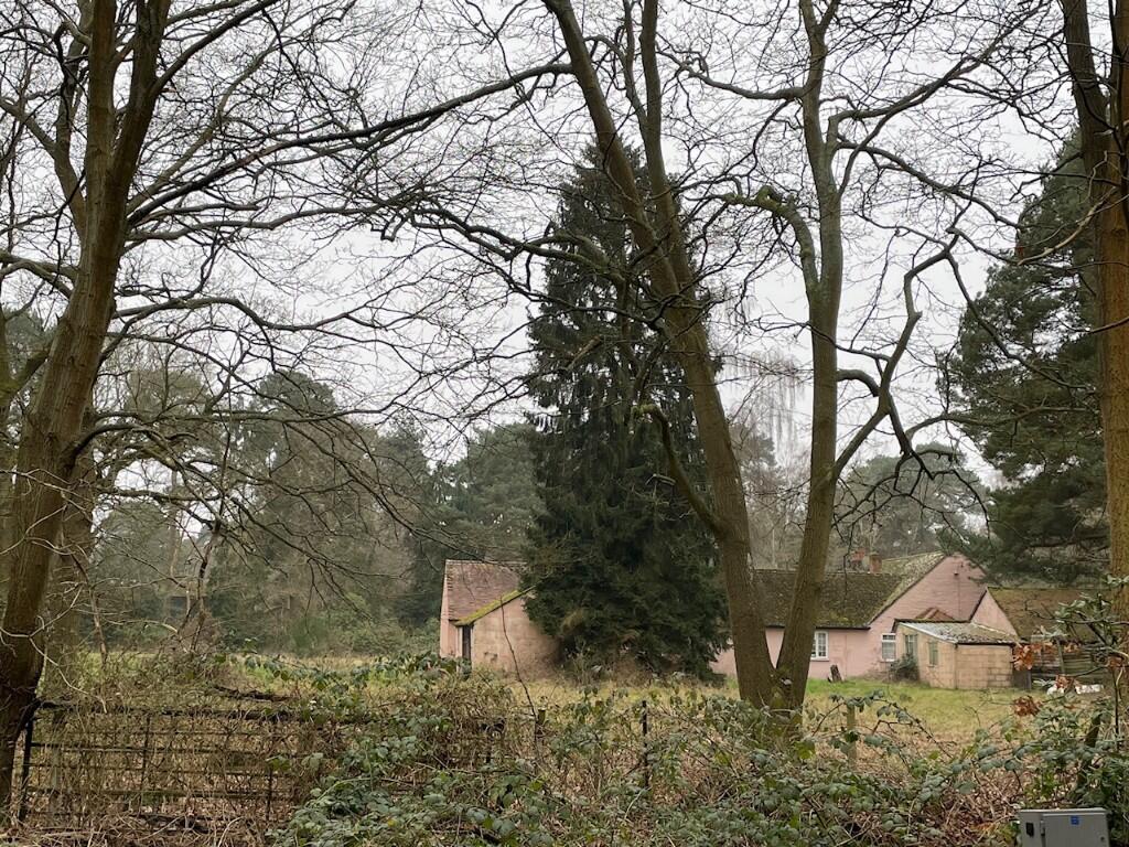 Forest Road, Bracknell, Berkshire, RG42