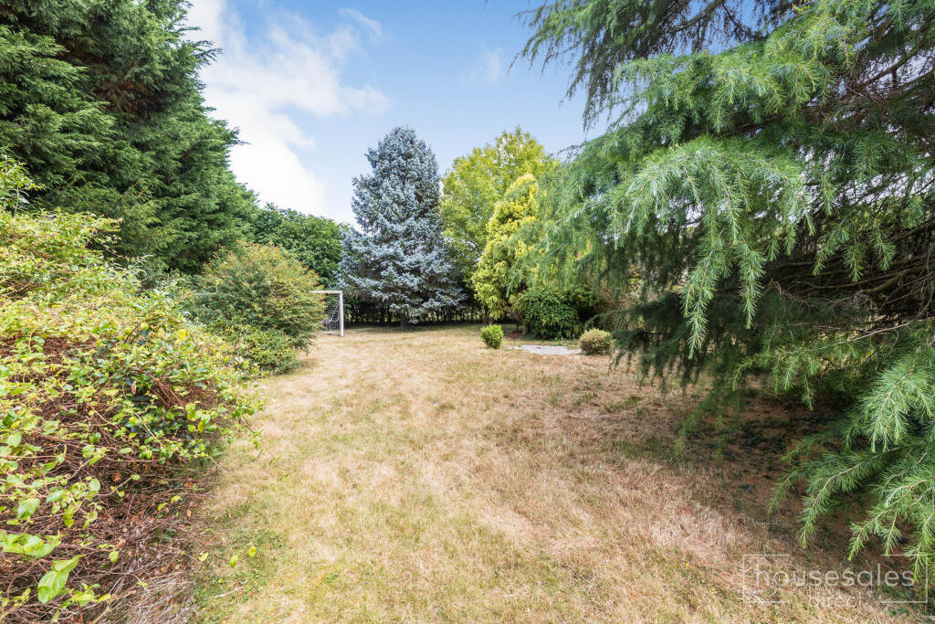Back Garden