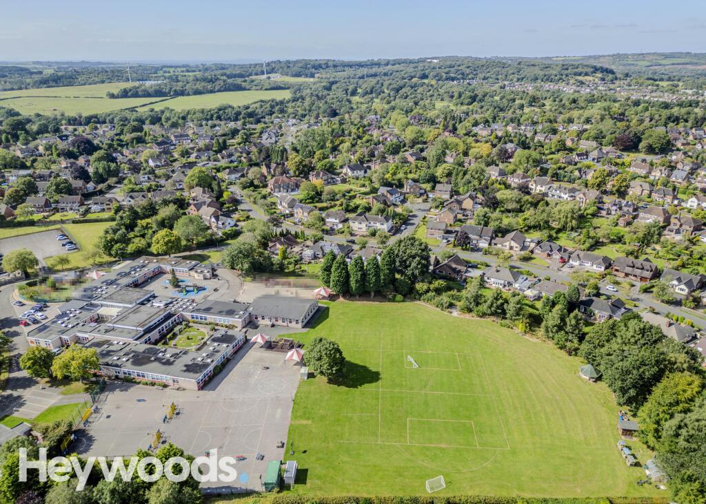 20240903-DJI_0586-Enhanced-SR