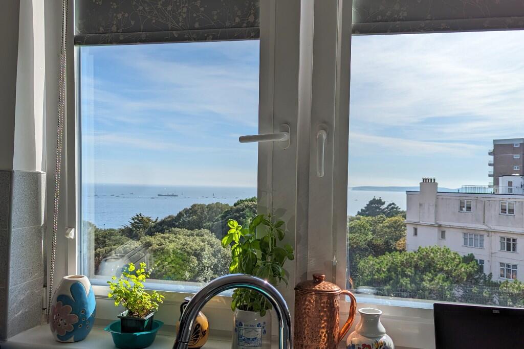 View from Kitchen