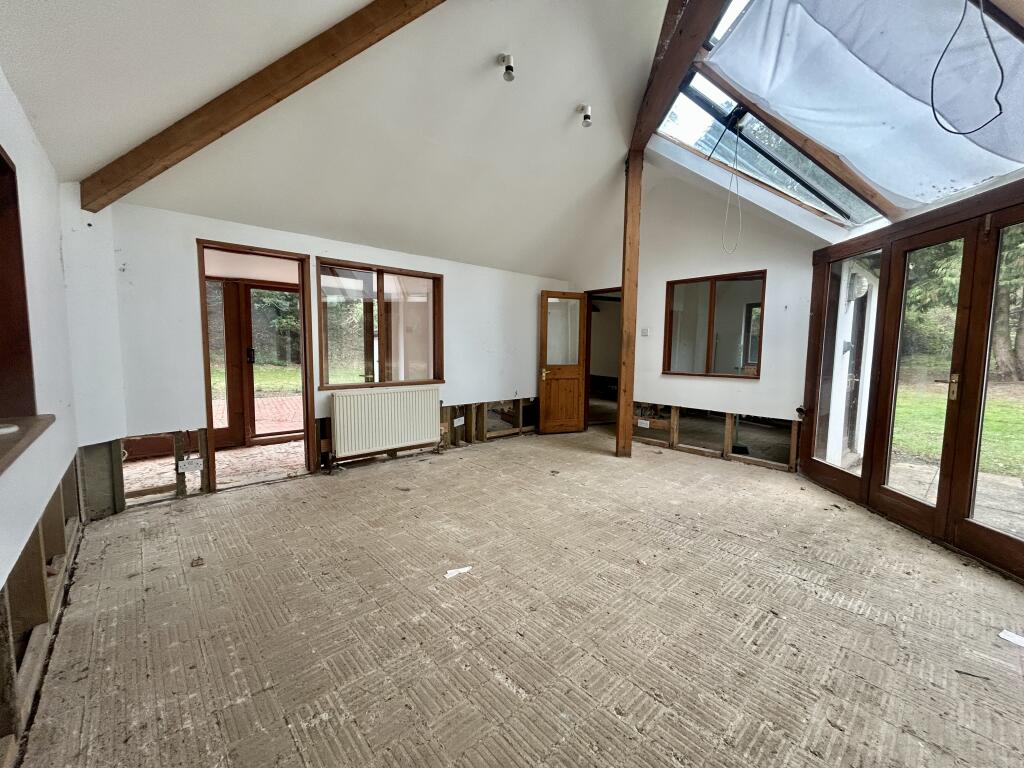 4 T202510151709.jpg