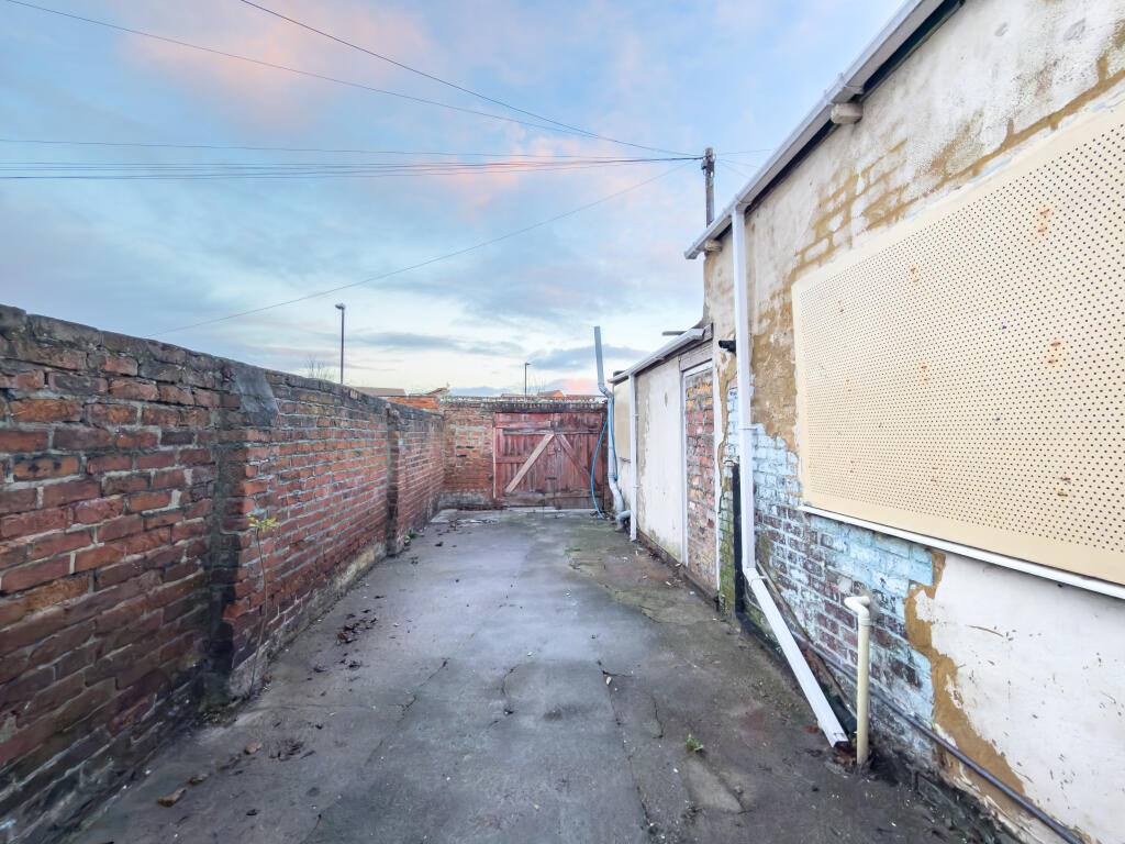 IMG 8384 T202511261752.jpg