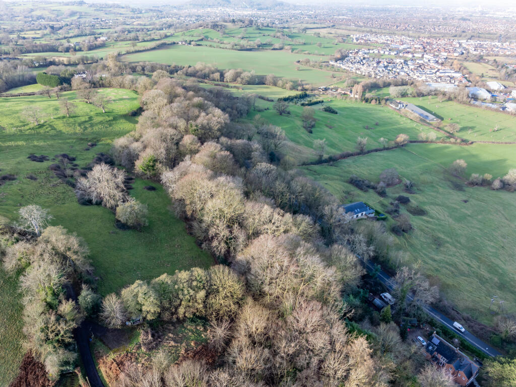 Grove Wood Painswick Road Brockworth GL3 4RU NB 16