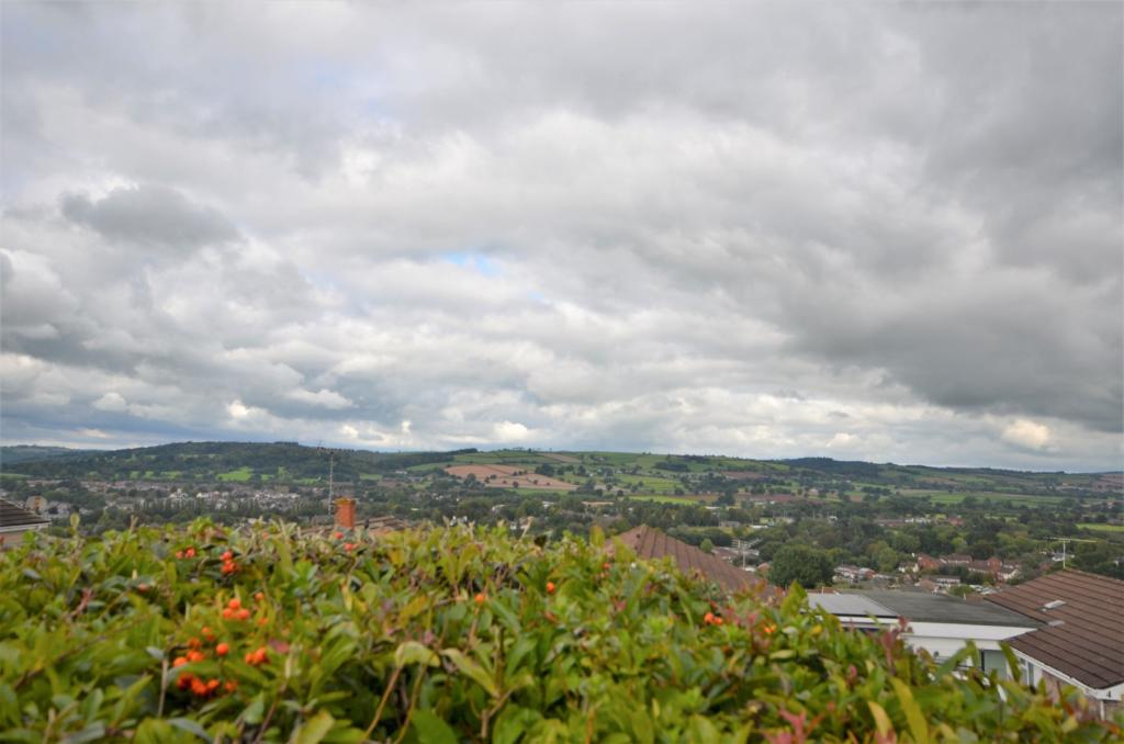 Seddons - Tiverton