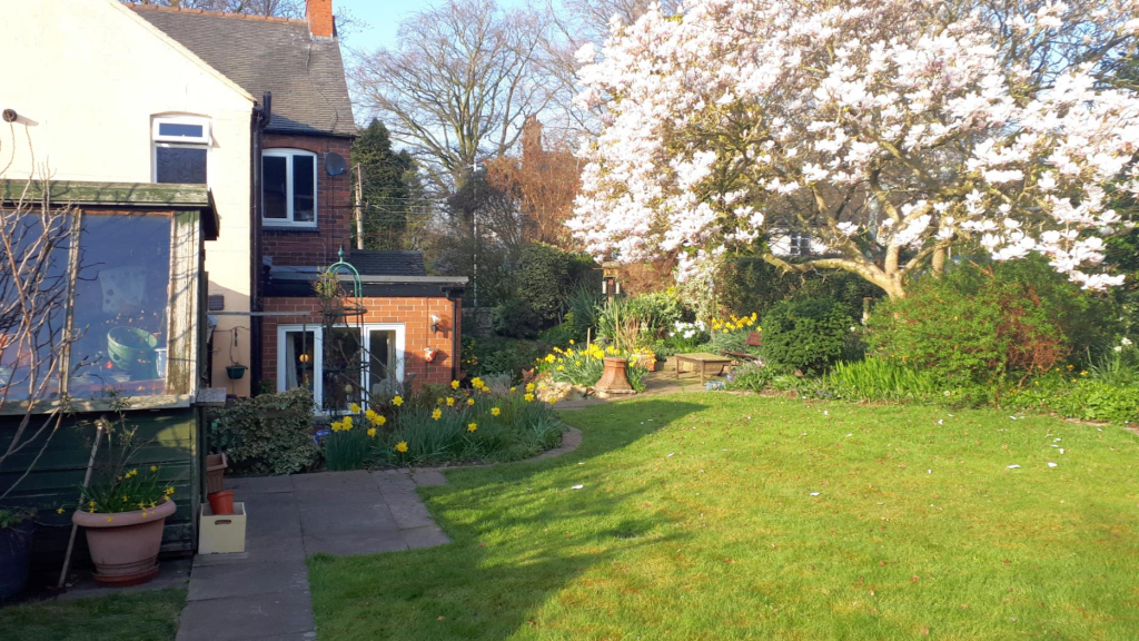Garden.png
