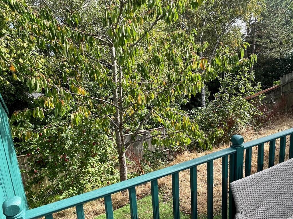 Additional Garden Area