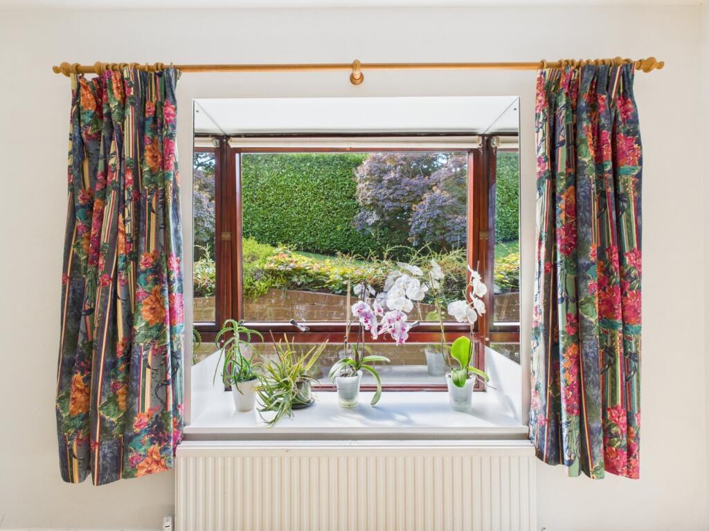 Bay Window
