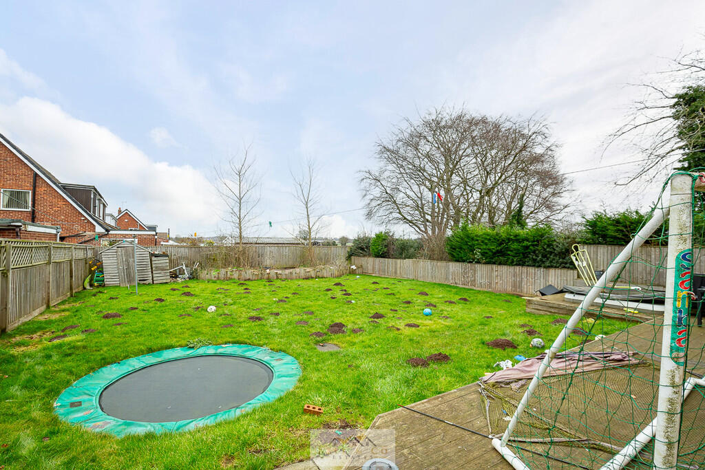 Back garden 1.1