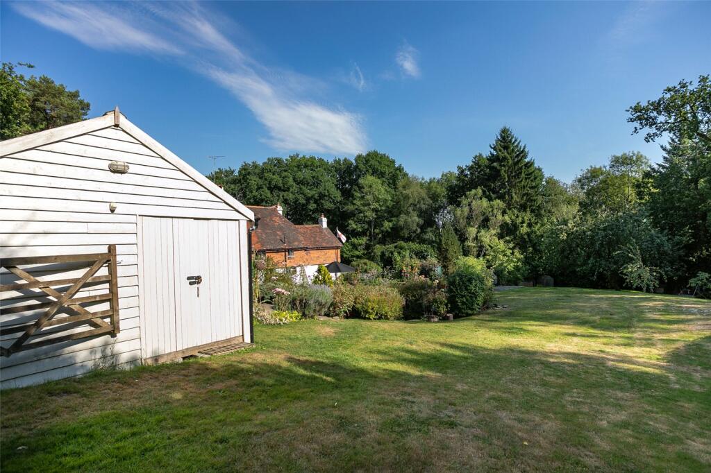 Back Garden