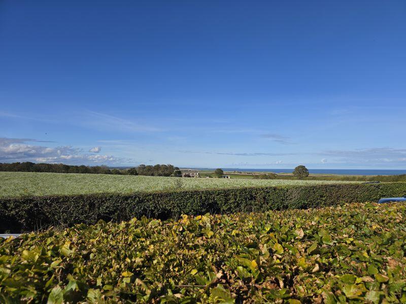 Sea Views