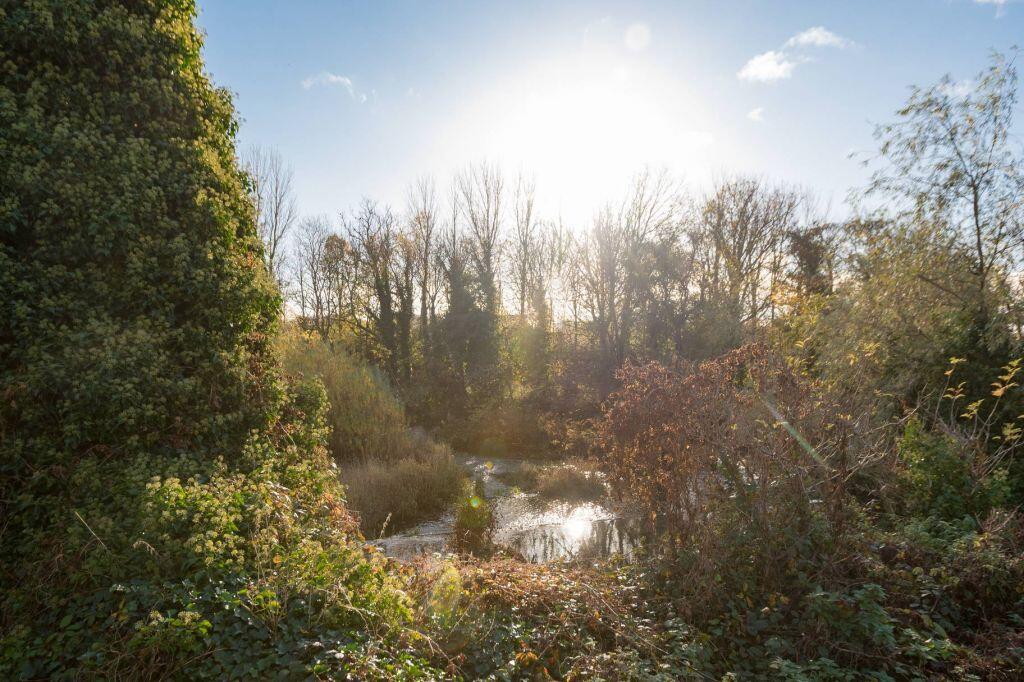 Property Image 43