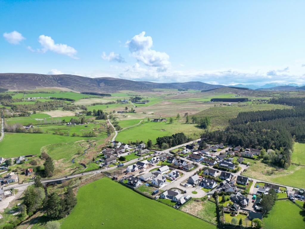 DJI_0467.jpg