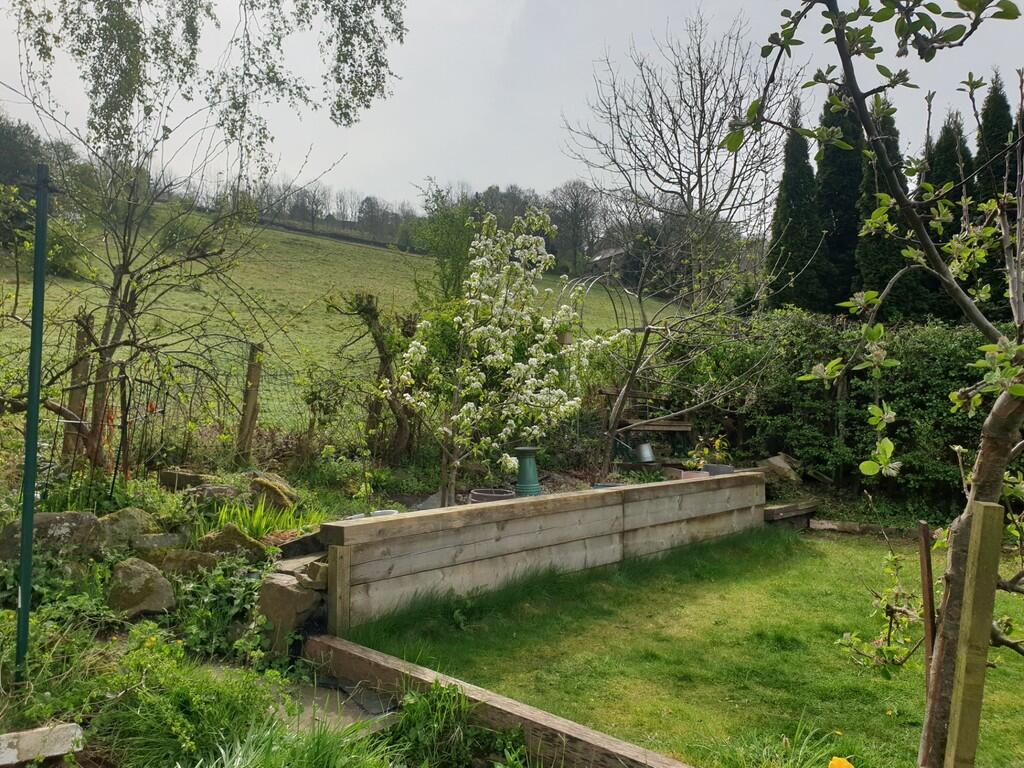 Garden 1