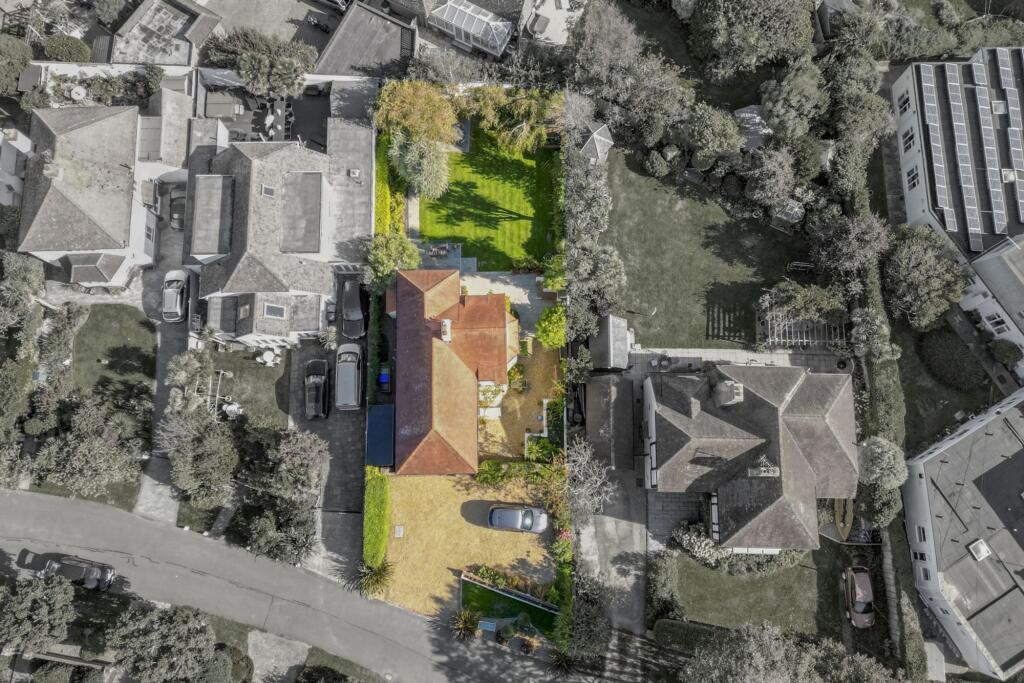 Drone Bids Eye View
