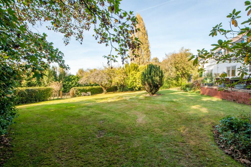 Garden.jpg