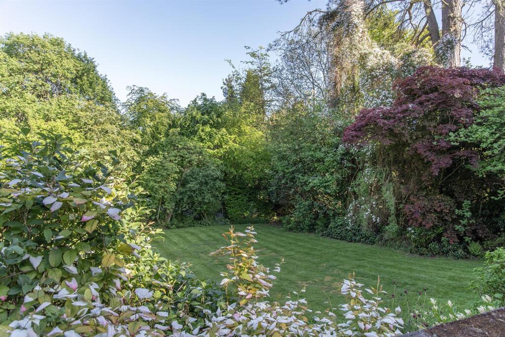 garden 8.jpg