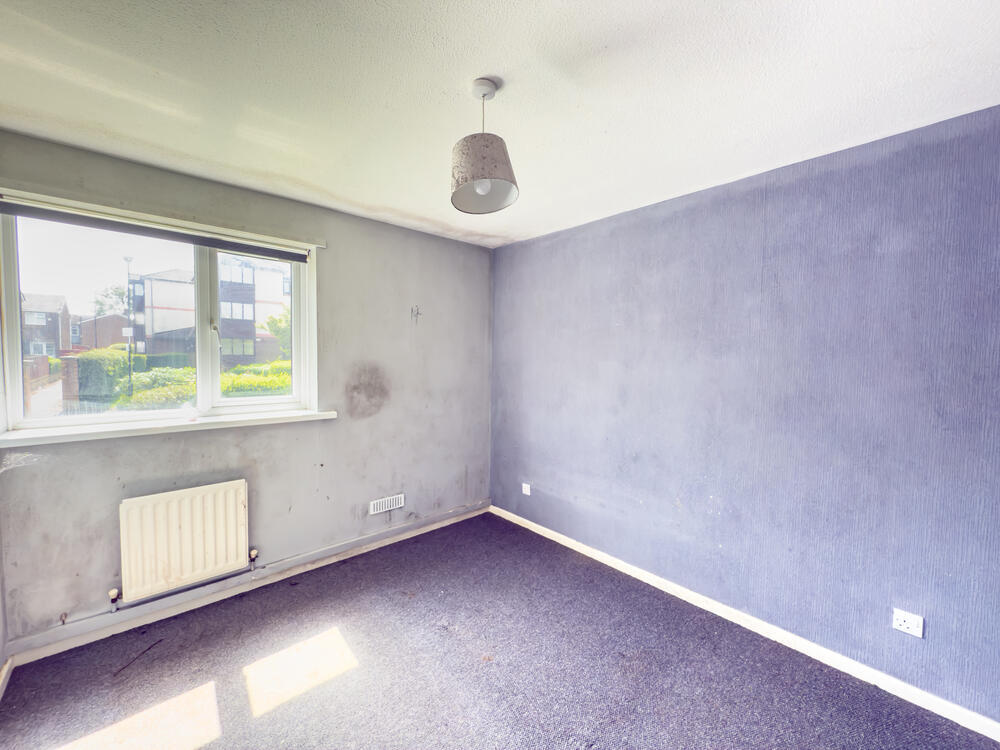 IMG 9035 2 T202506161803.jpg