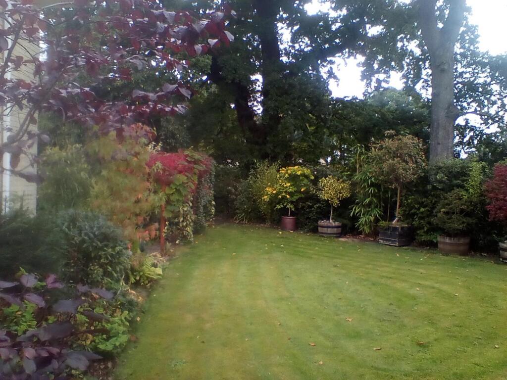 IMG_20240921_164200.jpg