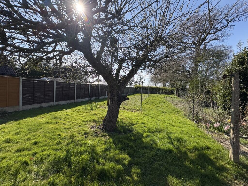 20250408 143652930 IOS  Medium  T202504081725.jpg