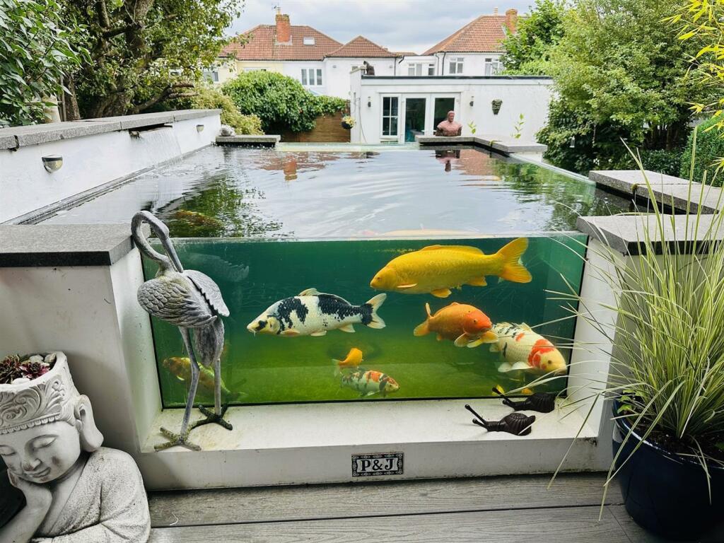 Koi Pond