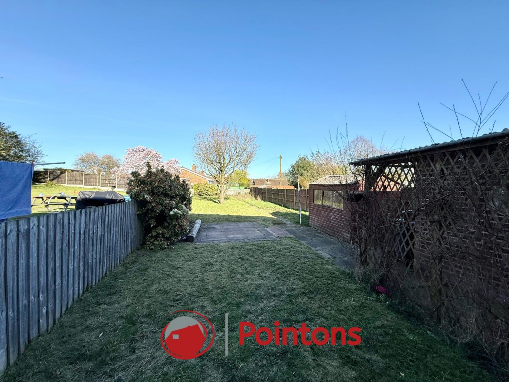 Logo image  (12).png