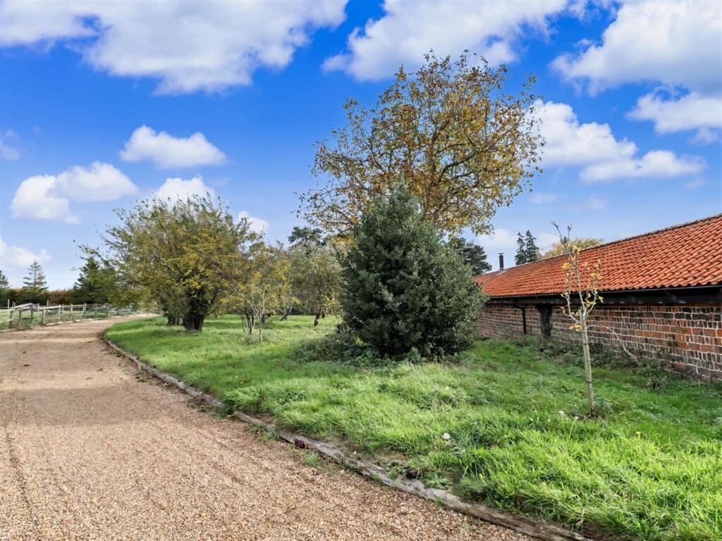 Driveway/Orchard