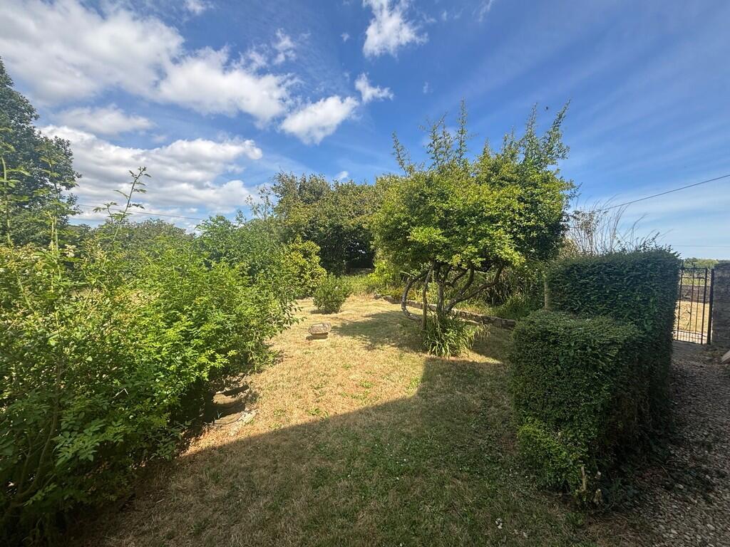 garden 3