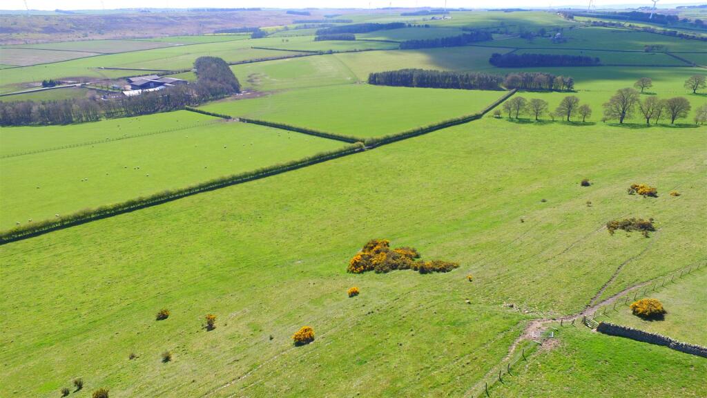 DJI_0471.JPG